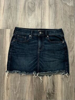 Express Indie Dark Wash Denim Mini Skirt | Size 2